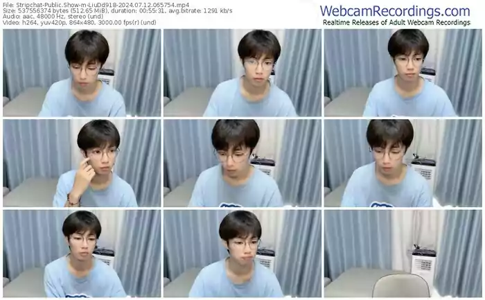 stripchat-liudd918-07-12-2024-06-57-54