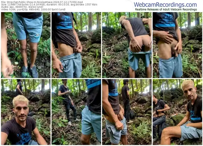 stripchat-nicolasmave-07-12-2024-17-19-50