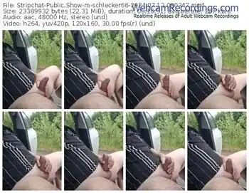 stripchat-schlecker66-07-12-2024-08-03-47