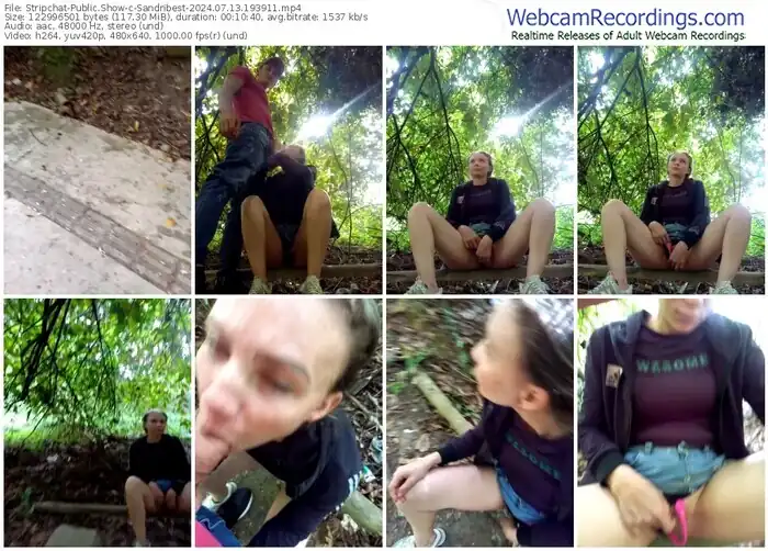 stripchat-sandribest-07-13-2024-19-39-11