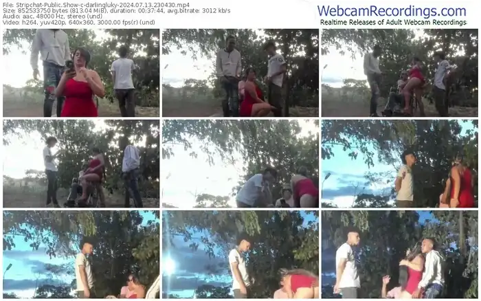 stripchat-darlingluky-07-13-2024-23-04-30
