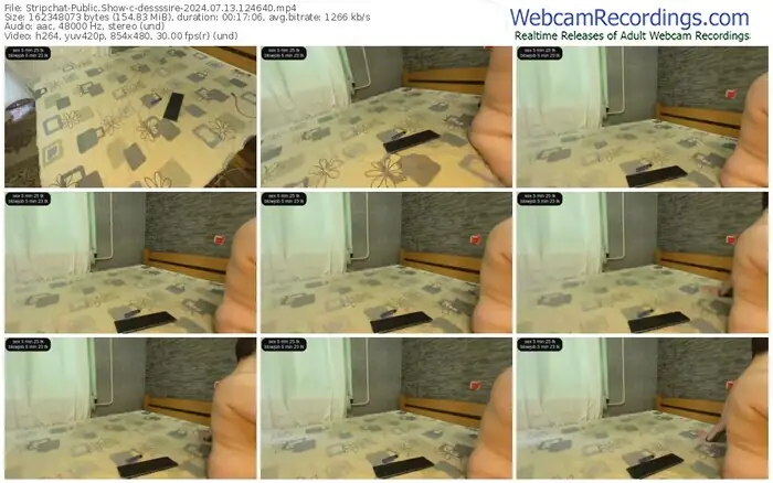 stripchat-dessssire-07-13-2024-12-46-40