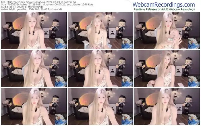 stripchat--xiaoxue-07-13-2024-21-34-37