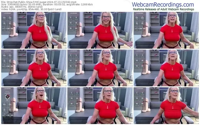 stripchat-fitcougar-07-13-2024-15-03-42