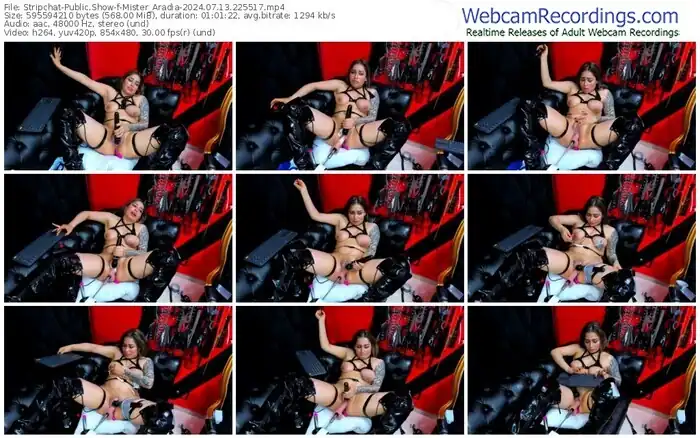 stripchat-mister_aradia-07-13-2024-22-55-17