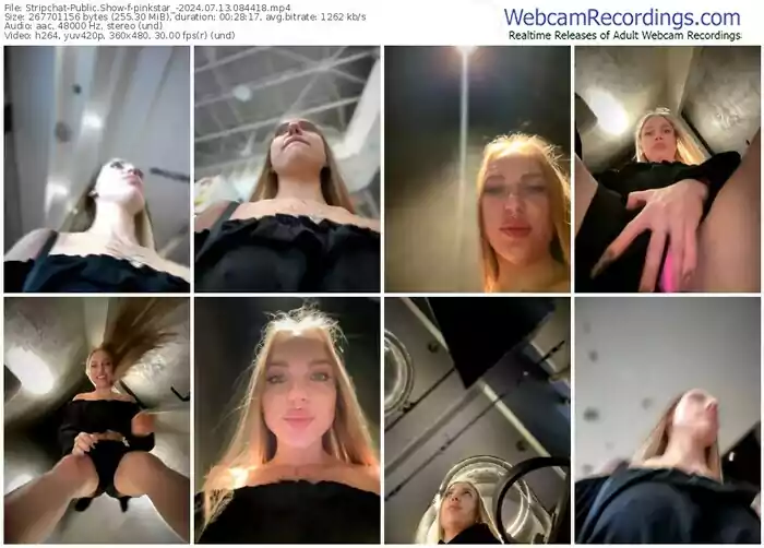 stripchat-pinkstar_-07-13-2024-08-44-18