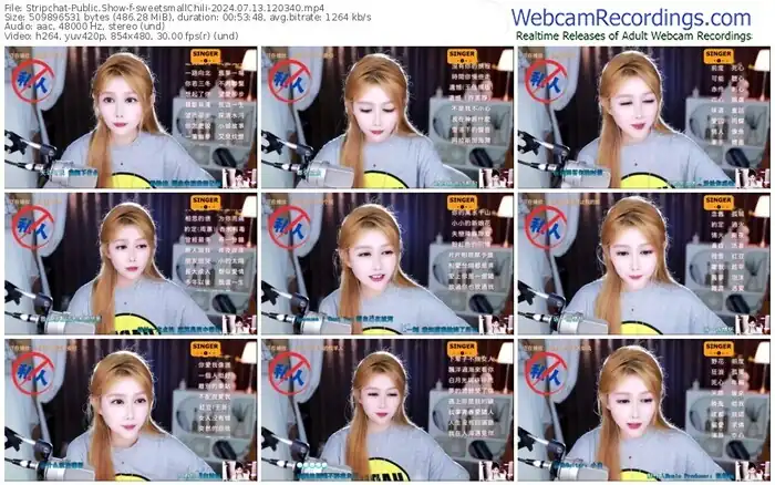 stripchat-sweetsmallchili-07-13-2024-12-03-40