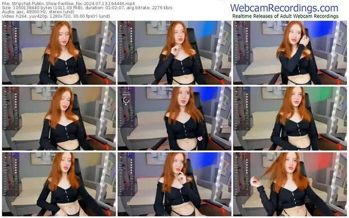 stripchat-willow_fox-07-13-2024-19-44-46