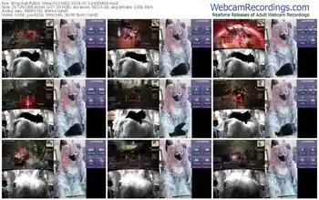 stripchat-z23002-07-13-2024-09-54-59