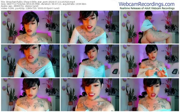 stripchat-little_star_porn-07-13-2024-16-35-20