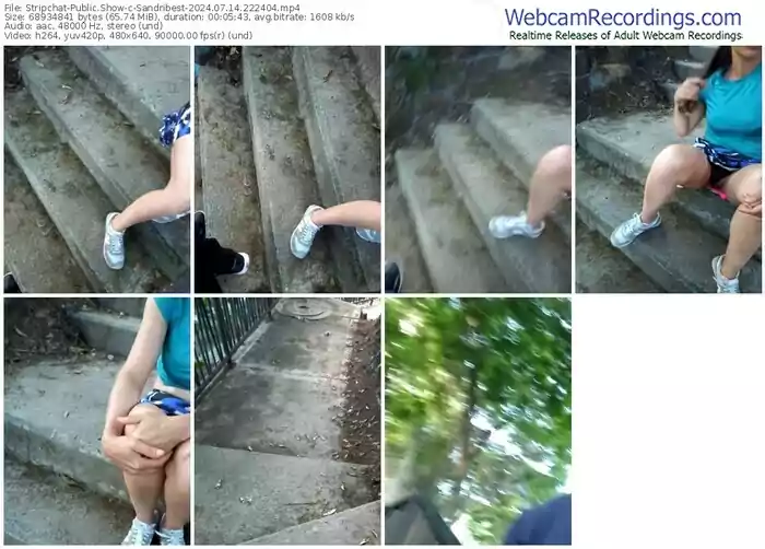 stripchat-sandribest-07-14-2024-22-24-04