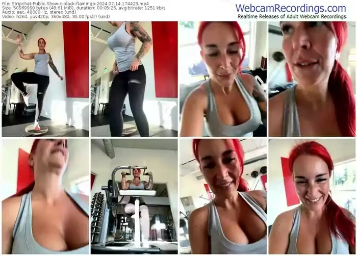 stripchat-black-flamingo-07-14-2024-17-44-23