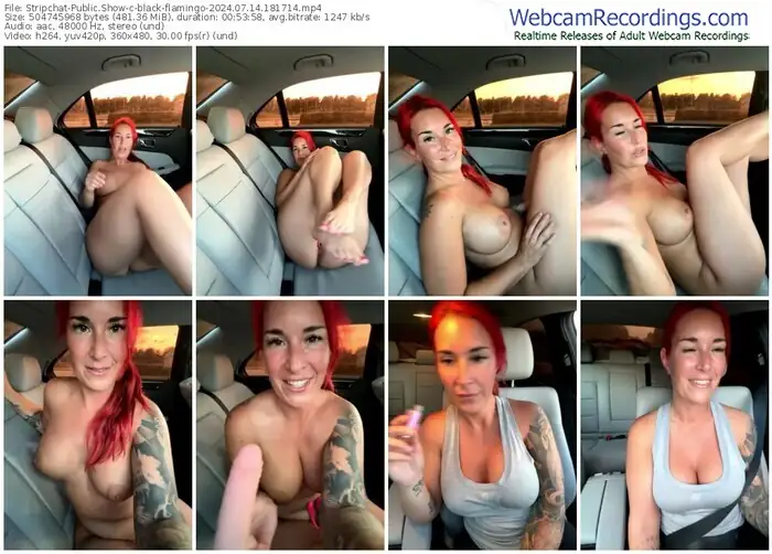 stripchat-black-flamingo-07-14-2024-18-17-14