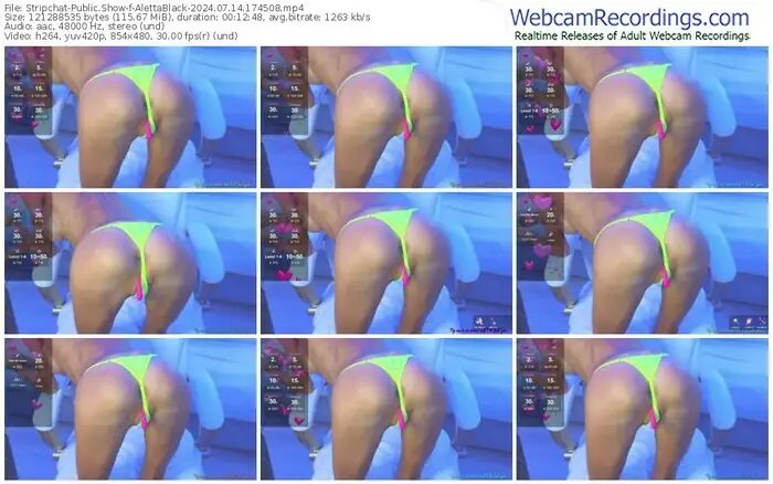stripchat-alettablack-07-14-2024-17-45-08