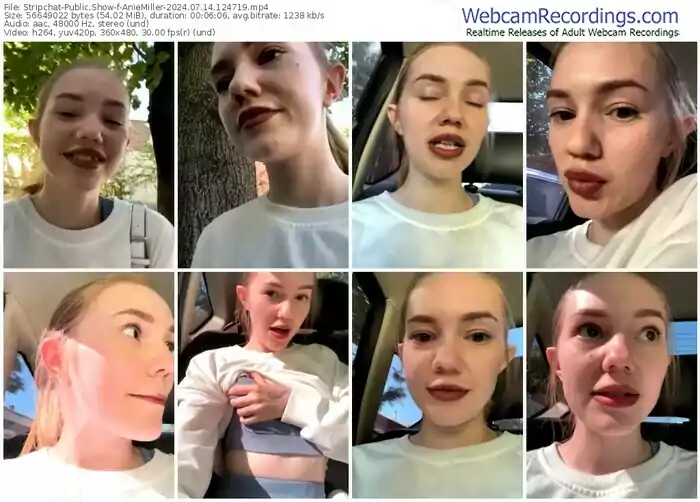 stripchat-aniemiller-07-14-2024-12-47-19