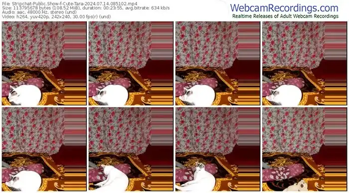 stripchat-cute-tara-07-14-2024-08-51-02