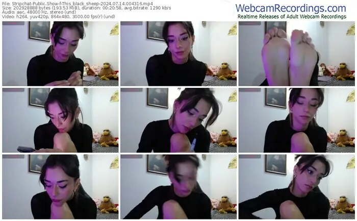 stripchat-this_black_sheep-07-14-2024-00-43-16