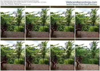 stripchat-nikkierose-07-14-2024-16-50-22