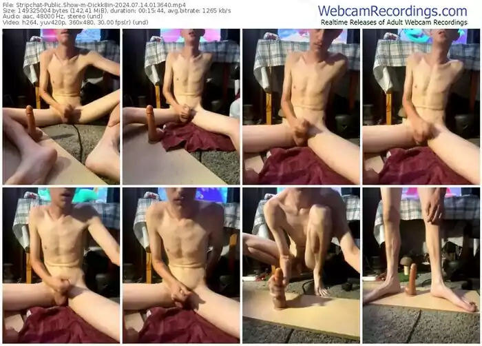 stripchat-dickk8in-07-14-2024-01-36-40