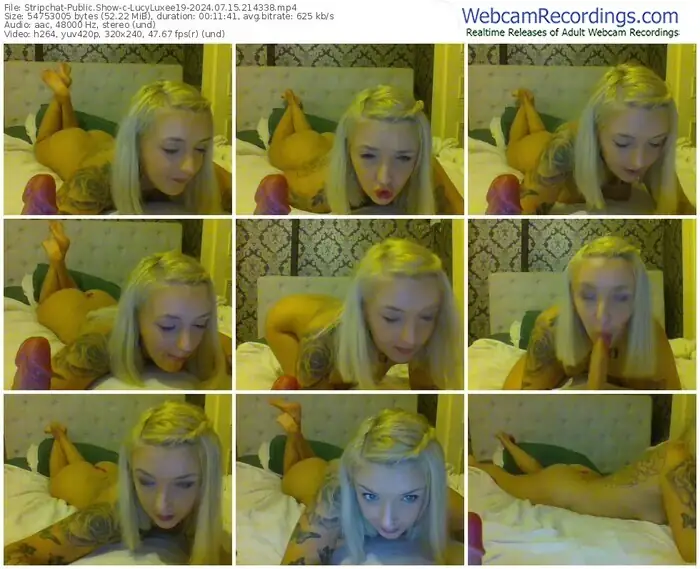 stripchat-lucyluxee19-07-15-2024-21-43-38