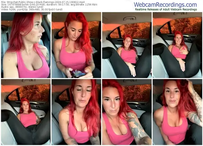 stripchat-black-flamingo-07-15-2024-19-08-12