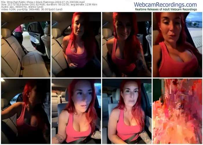 stripchat-black-flamingo-07-15-2024-20-03-44