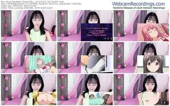 stripchat-ally__19-07-15-2024-11-18-57