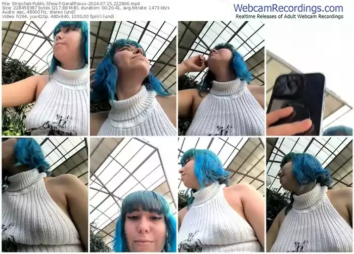stripchat-gerallfoxxx-07-15-2024-22-28-06