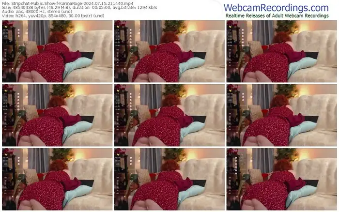 stripchat-karinaroge-07-15-2024-21-14-40