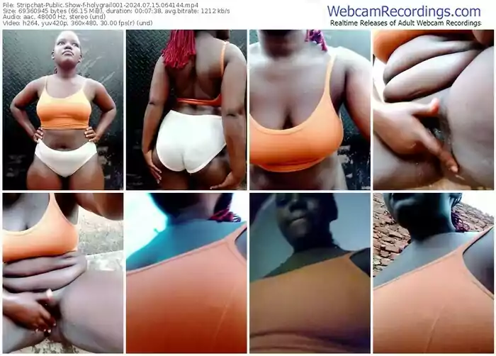 stripchat-holygrail001-07-15-2024-06-41-44