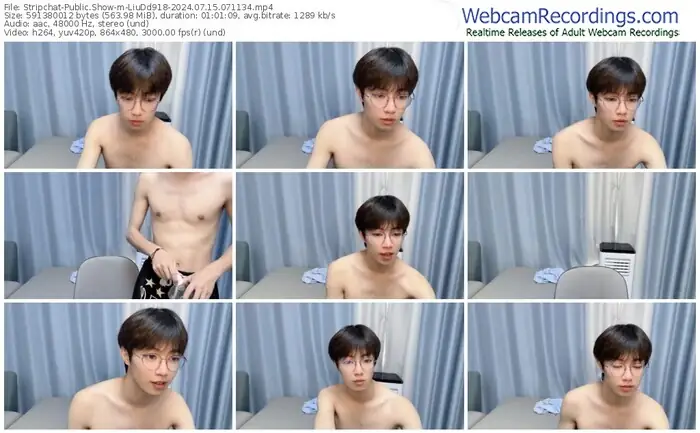 stripchat-liudd918-07-15-2024-07-11-34