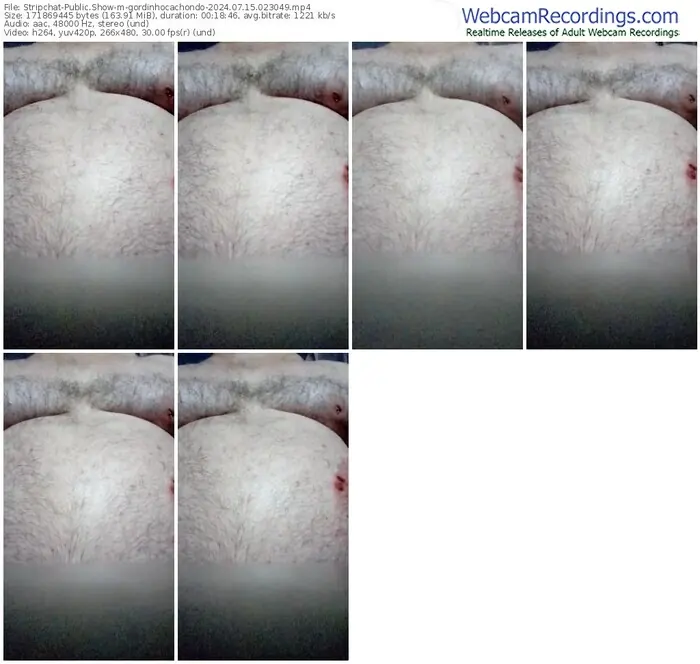 stripchat-gordinhocachondo-07-15-2024-02-30-49