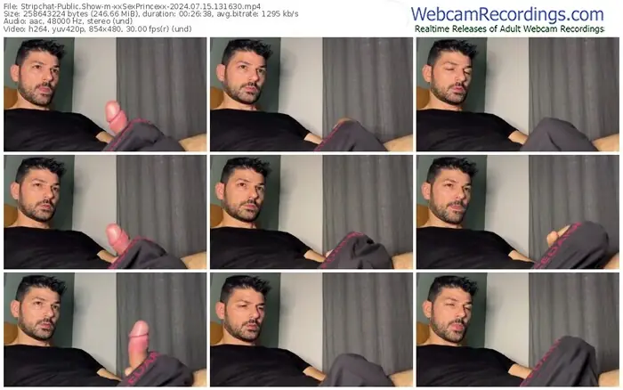 stripchat-xxsexprincexx-07-15-2024-13-16-30