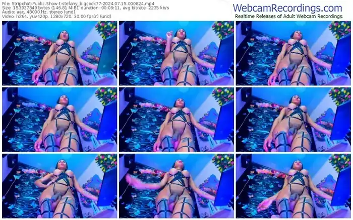 stripchat-stefany_bigcock77-07-15-2024-00-08-24