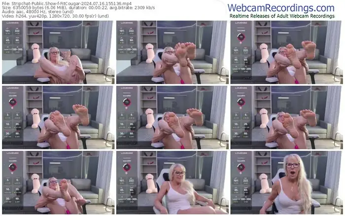 stripchat-fitcougar-07-16-2024-15-51-36