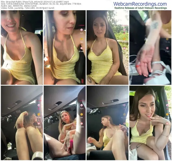 stripchat-lib_ertine32-07-16-2024-10-48-57