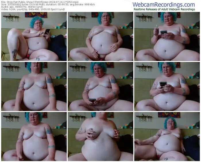 stripchat-potofgreer-07-16-2024-17-50-53