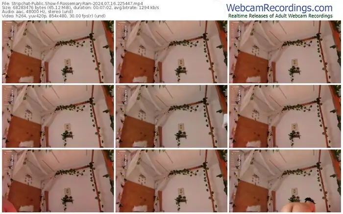 stripchat-rossemaryrain-07-16-2024-22-54-47