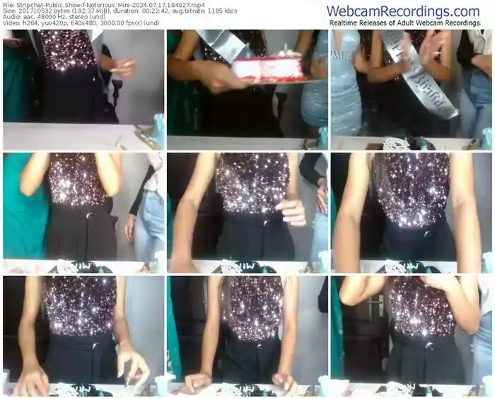 stripchat-notorious_mini-07-17-2024-18-40-27