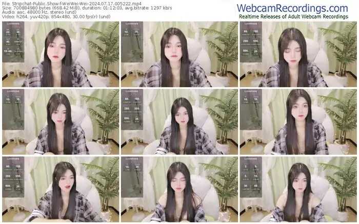 stripchat-weiwei-wei-07-17-2024-00-52-22