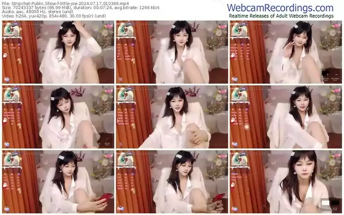 stripchat-little-joe-07-17-2024-01-03-49