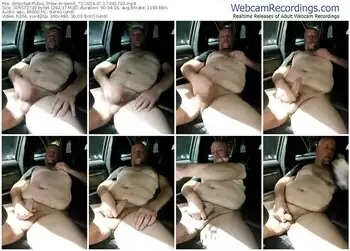 stripchat-swish_73-07-17-2024-08-17-03