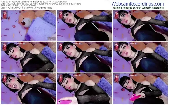 stripchat-normalanee-07-17-2024-08-25-50