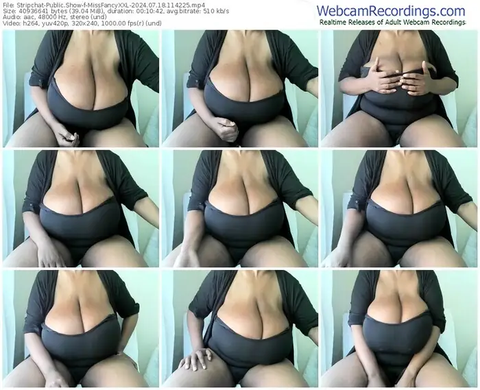 stripchat-missfancyxxl-07-18-2024-11-42-25