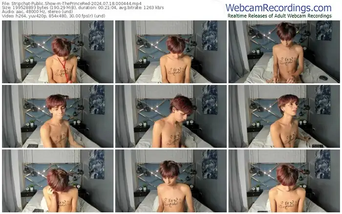 stripchat-theprincered-07-18-2024-00-04-44