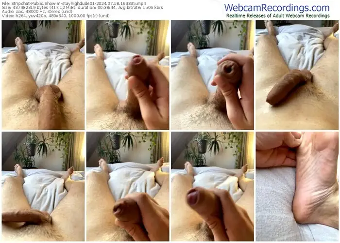 stripchat-stayhighdude01-07-18-2024-16-33-35