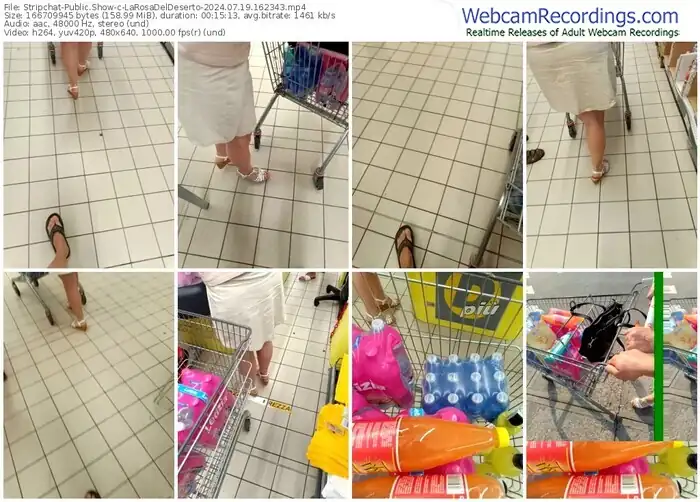 stripchat-larosadeldeserto-07-19-2024-16-23-43