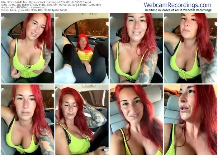 stripchat-black-flamingo-07-19-2024-09-56-16