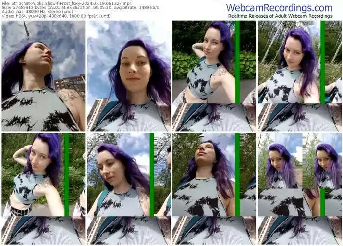 stripchat-frost_foxy-07-19-2024-08-13-27