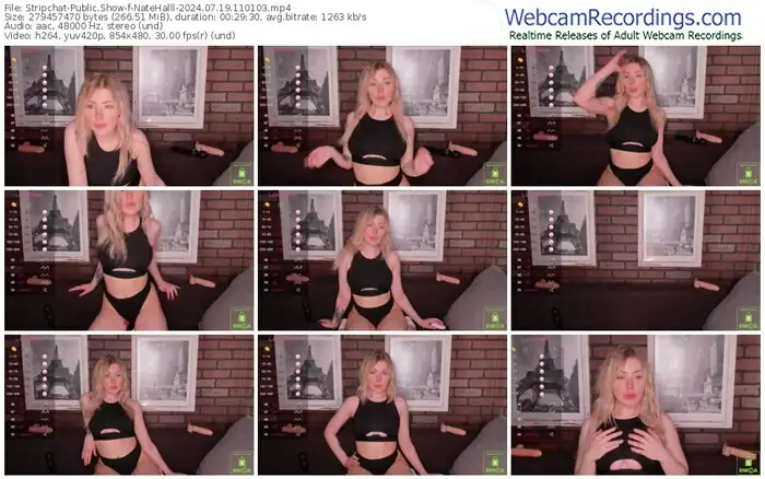 stripchat-natehalll-07-19-2024-11-01-03